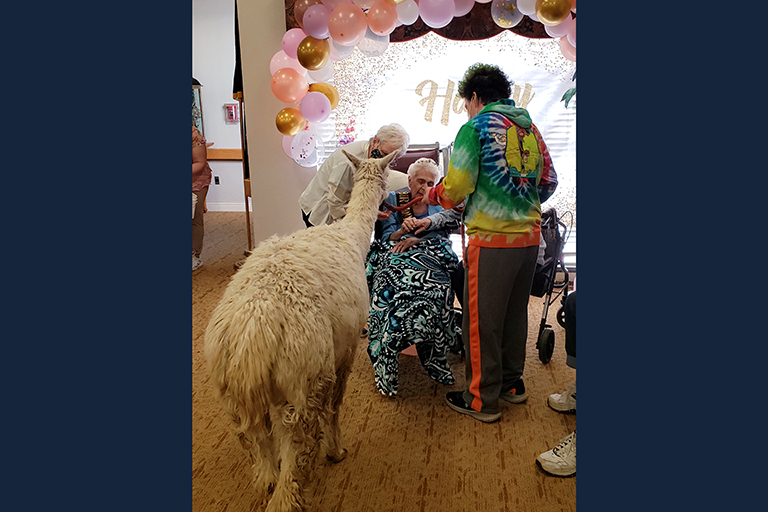 Life Care of Rochester resident celebrates 103rd birthday with animals