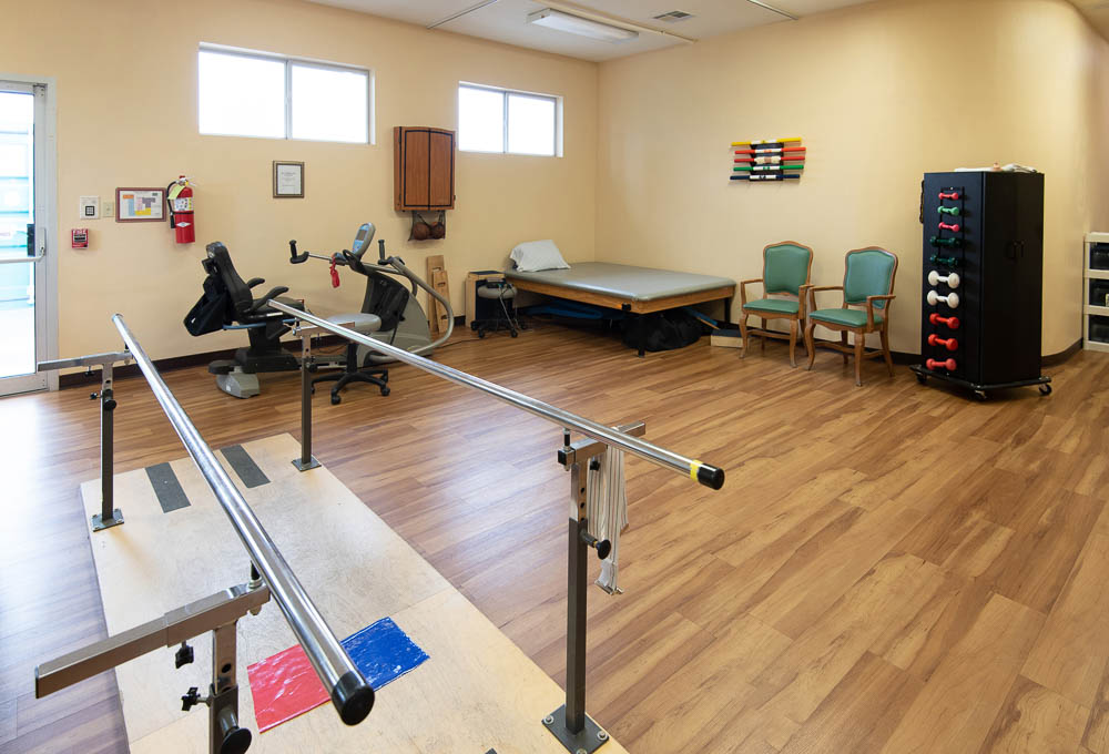Evergreen Therapy Gym