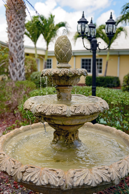 Darcy Hall Fountain