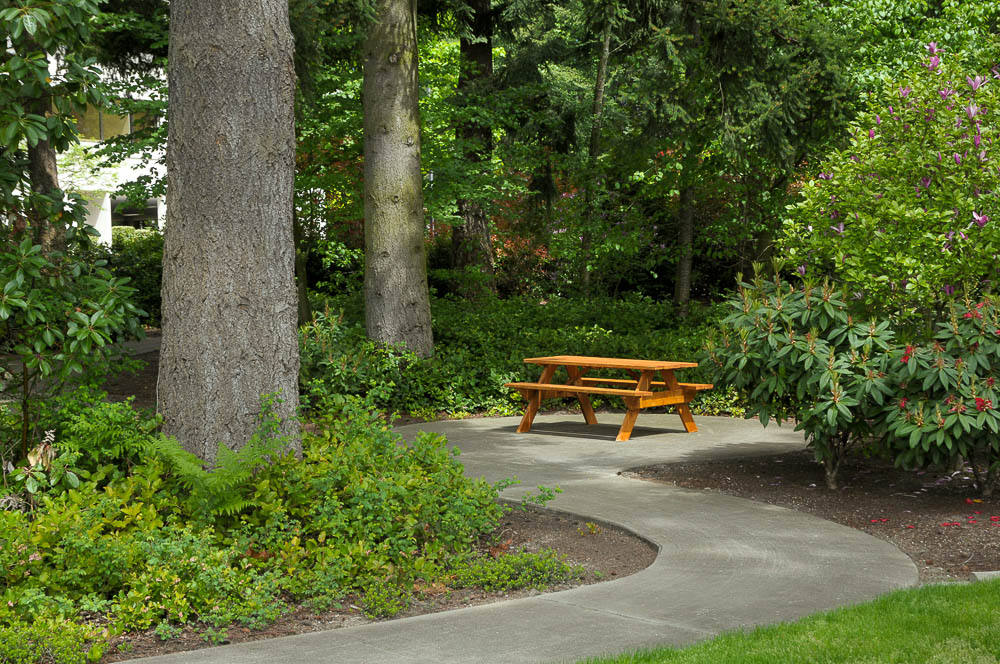 Federal Way Bench